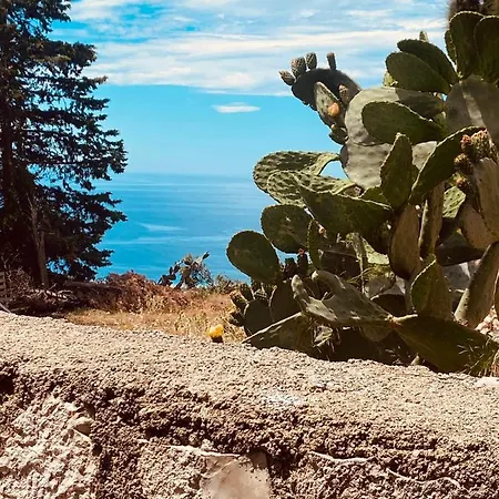 Bed & Breakfast Alex Boutique
