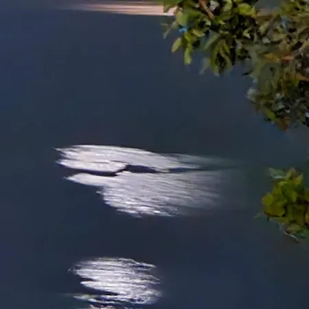 Alex Boutique فندق مبيت وإفطار هيماري