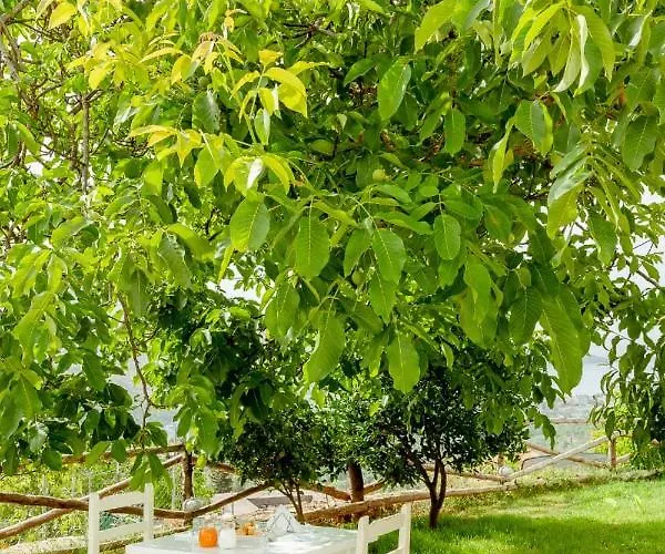 Couette-café Alex Boutique