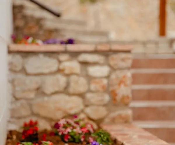 Alex Boutique Couette-café 3*