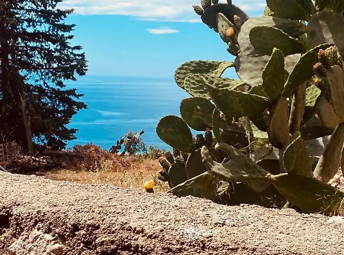 Couette-café Alex Boutique