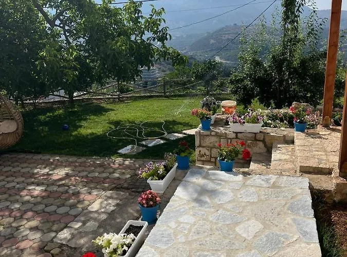 Alex Boutique 住宿加早餐酒店 希马拉