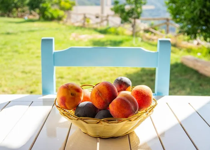 住宿加早餐酒店 Alex Boutique