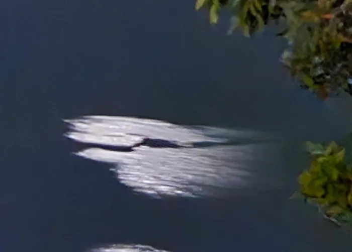 Alex Boutique Couette-café Himarë